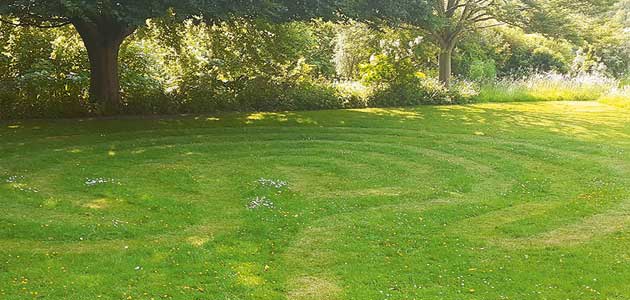 Labyrinth in grass