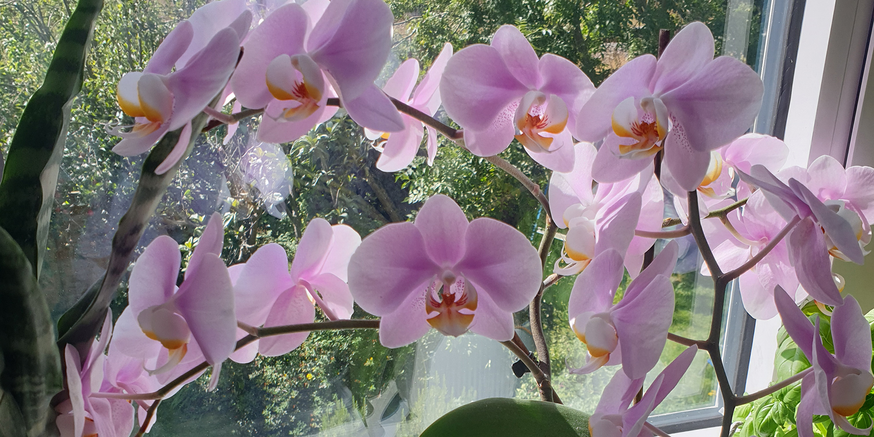 Eye - 07 November 2025