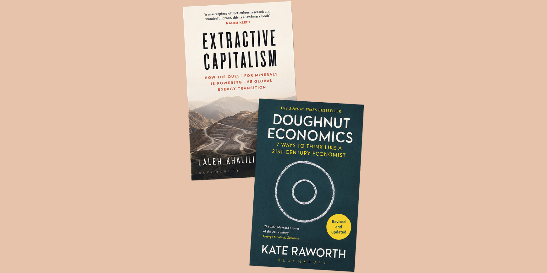 Extractive Capitalism and Doughnut Economics