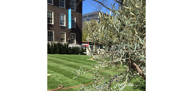 Garden redesign nears completion