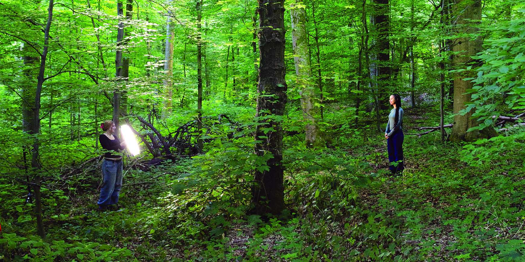 Some Kind of Love: Actions and reactions to living on a damaged planet