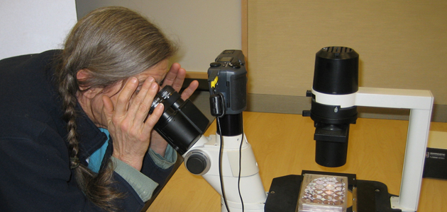Finding a Quaker voice
