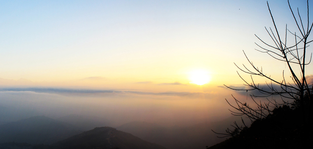 Quakers and creation: Going to a ‘better place’?
