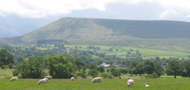 Friends asked to act on fracking