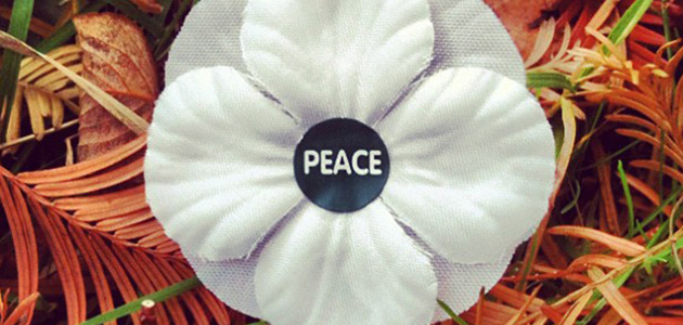 St John Ambulance allow white poppies