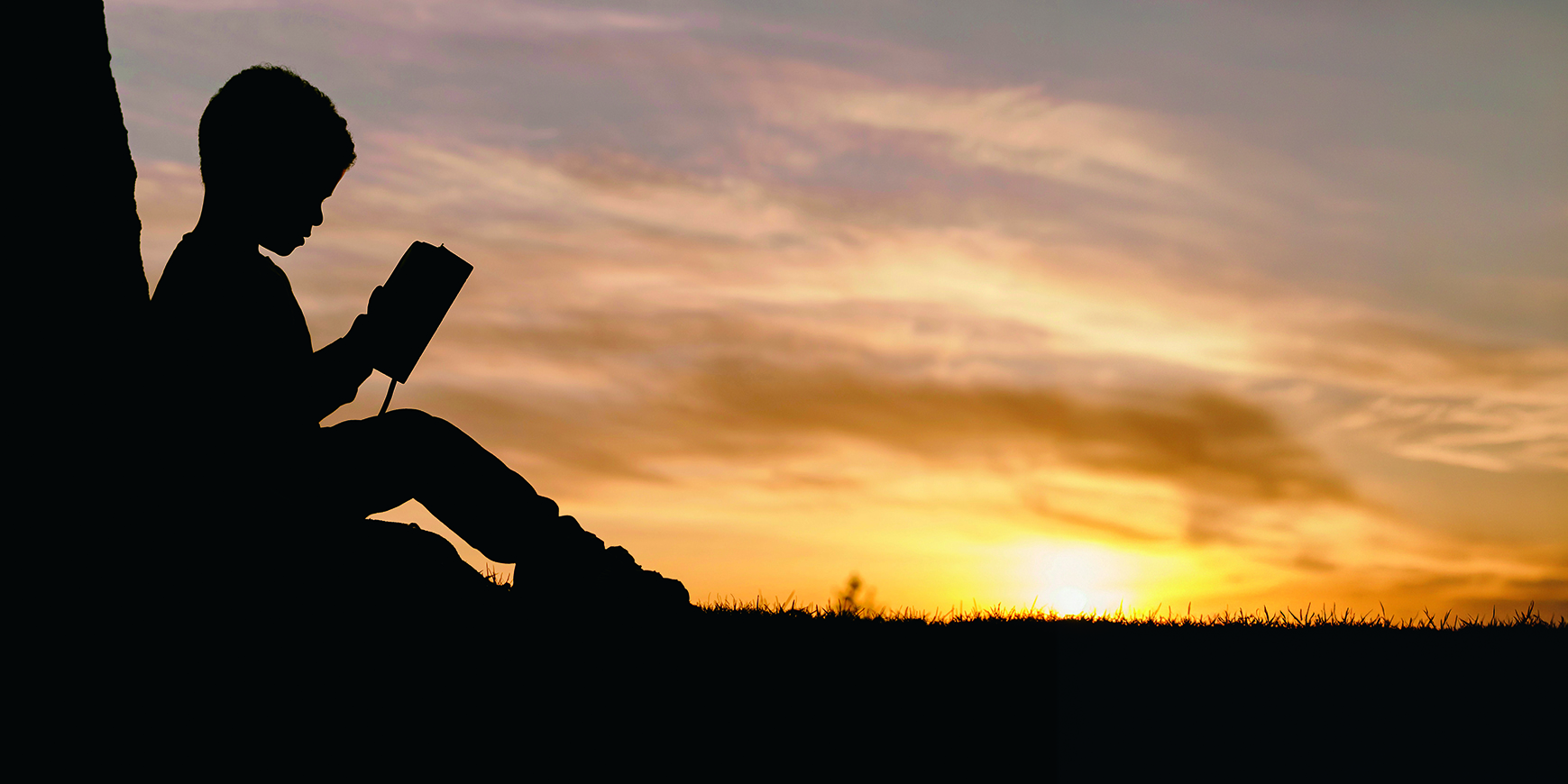 The National Year of Reading: Sarah Hagger-Holt says Quakers should get involved