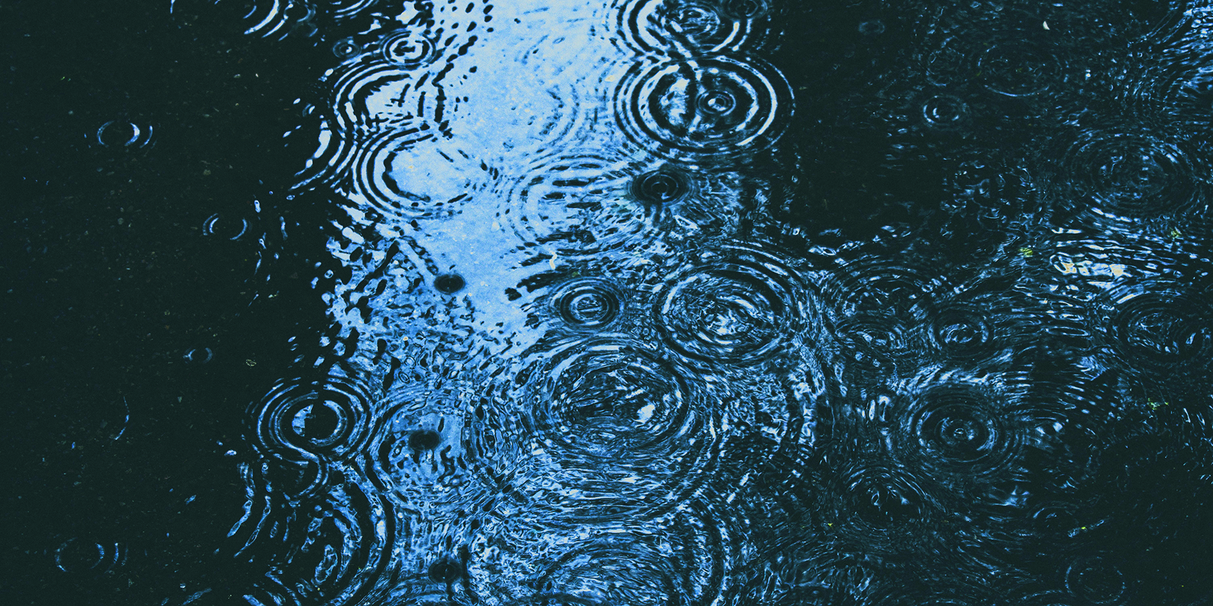 Poem: After the rain