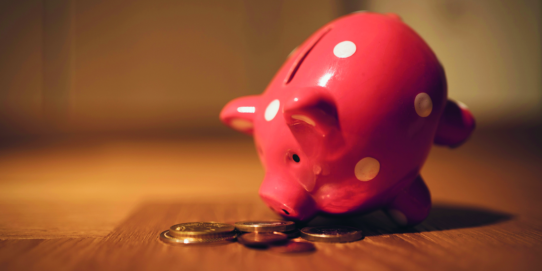 Costing the earth? Malcolm Braithwaite on investment policy