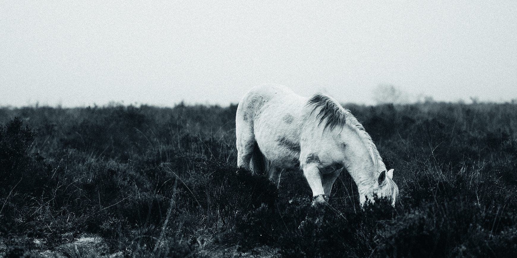 Poem: When I was  a child