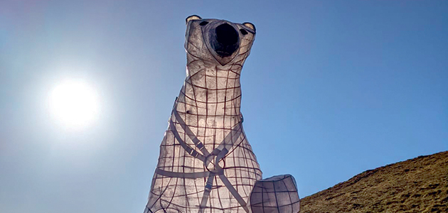 Polar Bear arrives for COP26