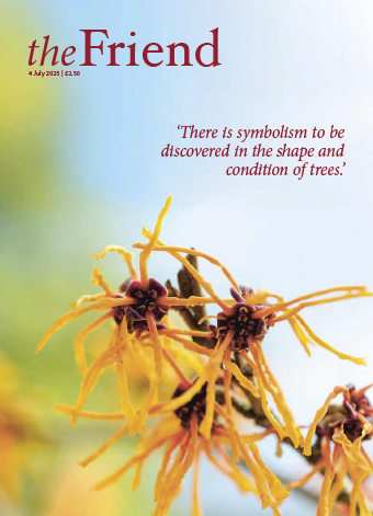 Issue 04-07-2025