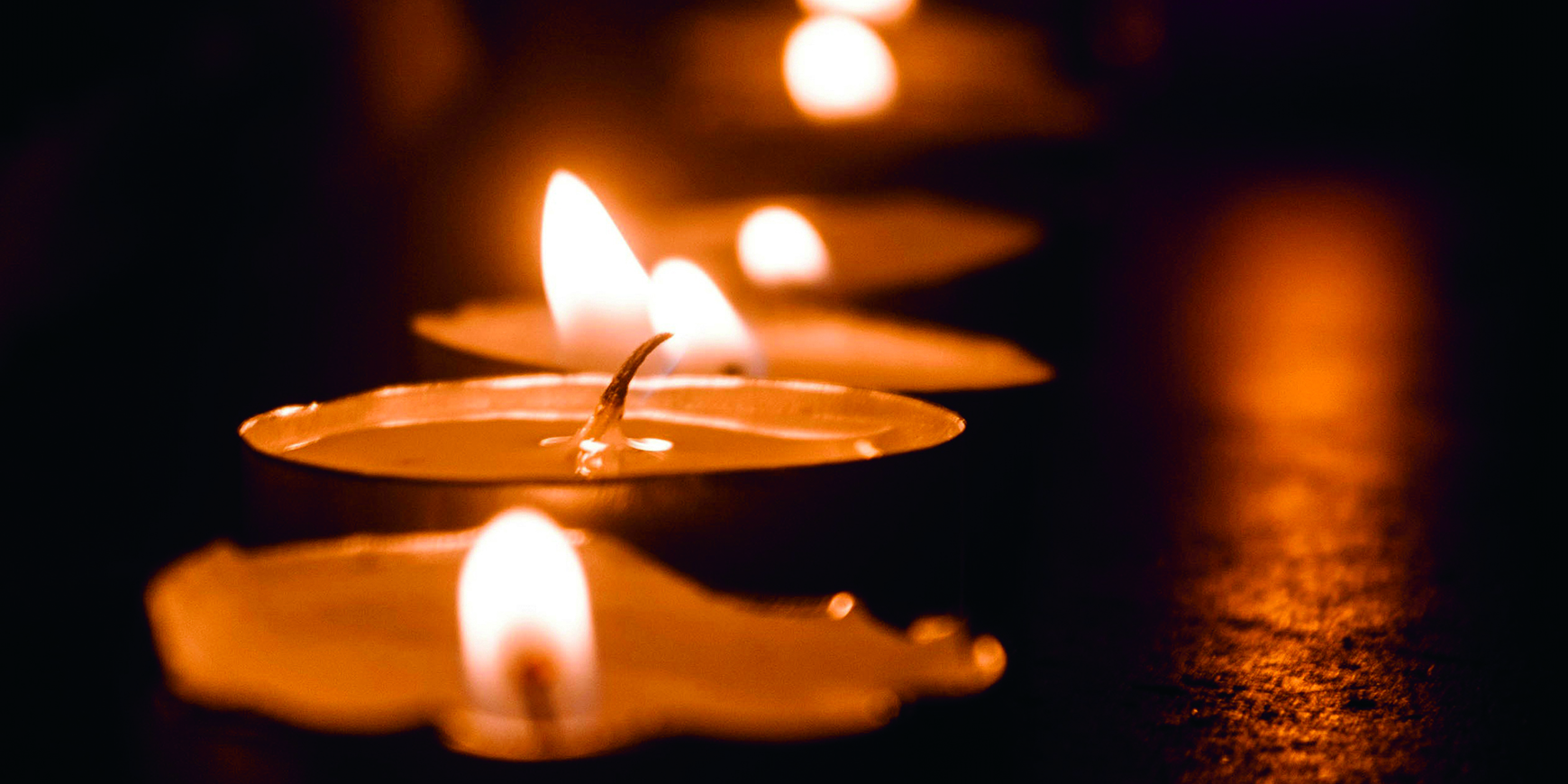 Light reading: Caroline Jones on a special evening