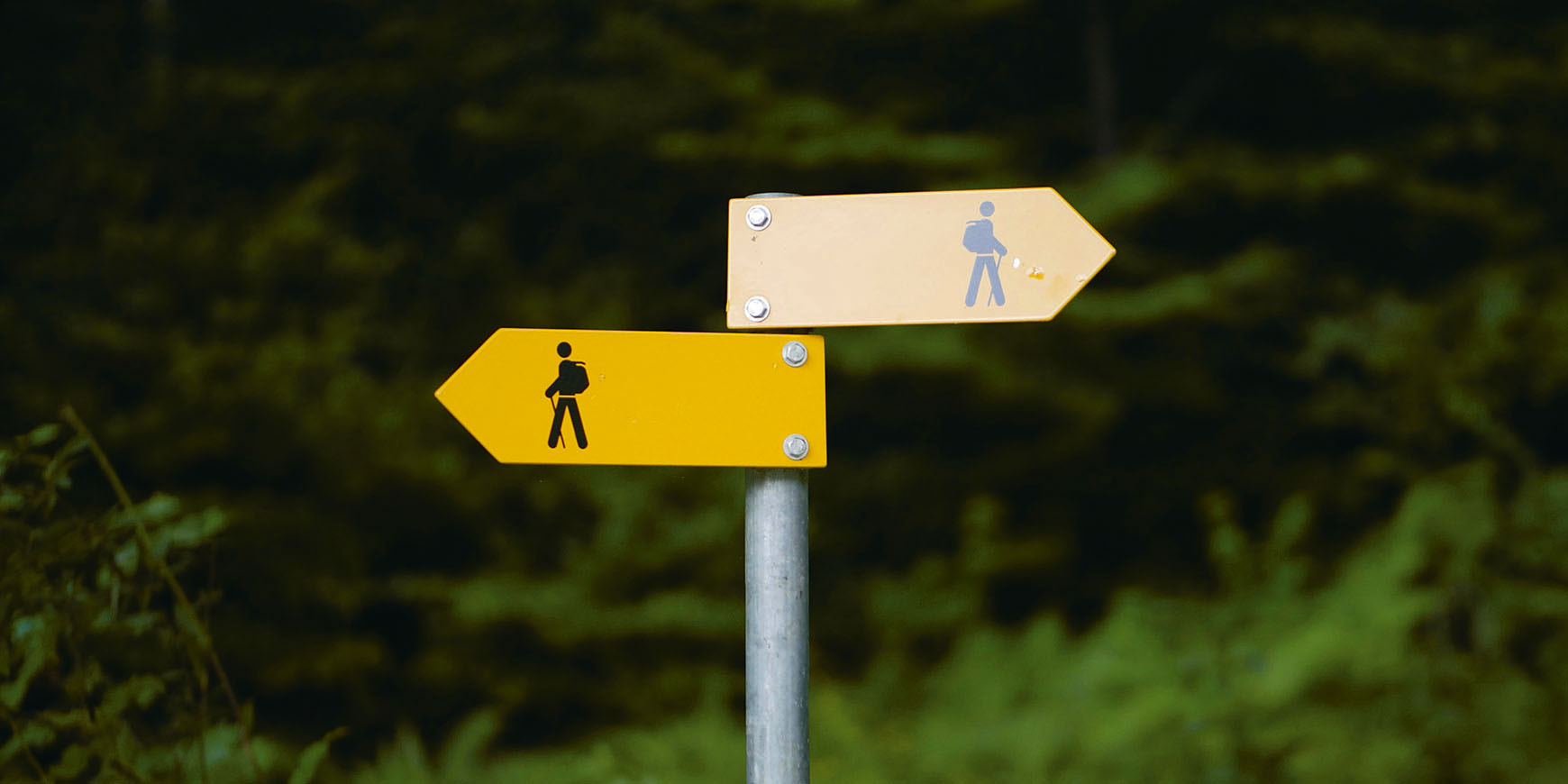 Given a sign: Neil Morgan on two Quaker paths