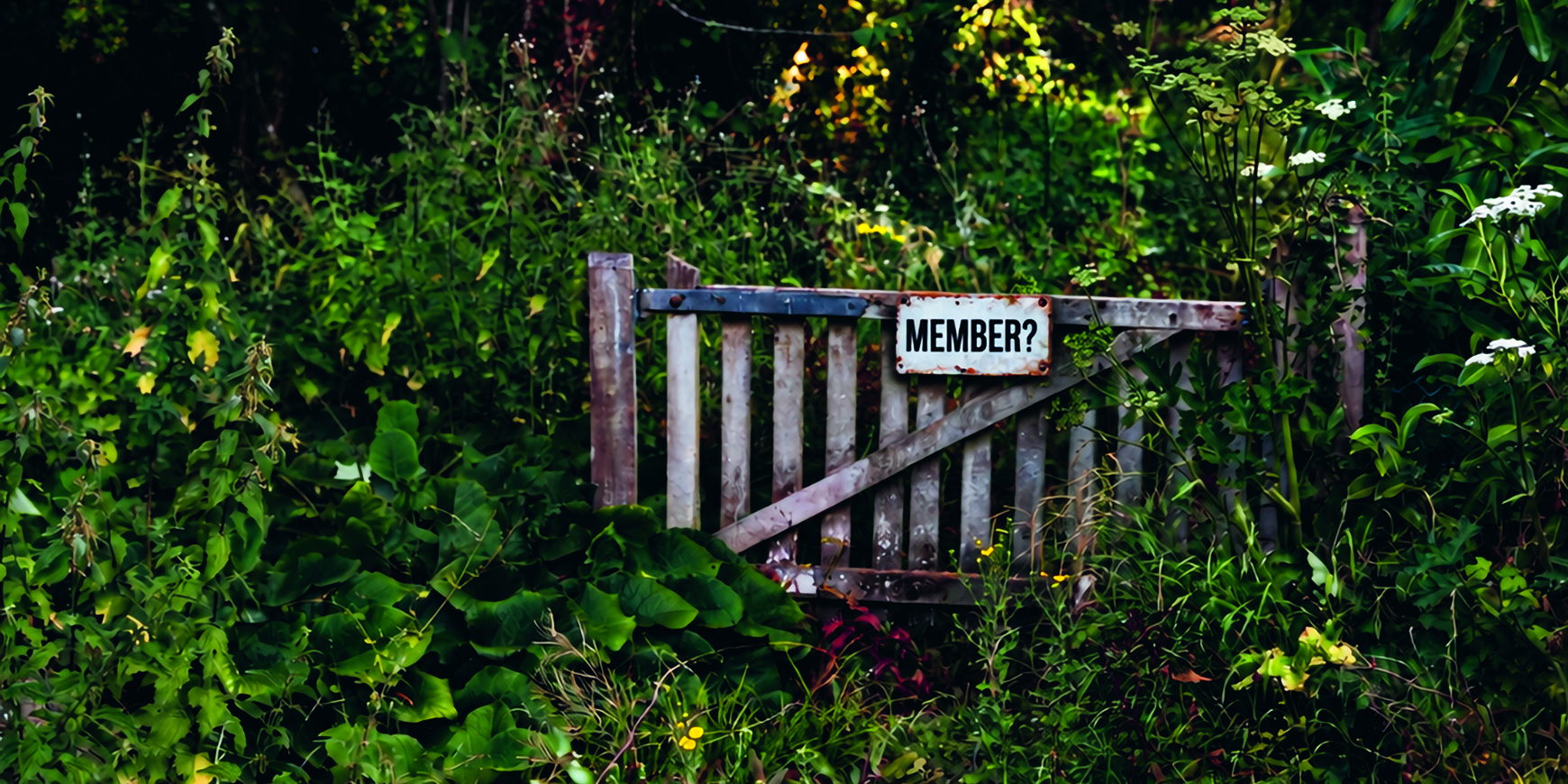 Re:members: Beth Allen asks whether the Quaker system still works