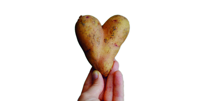 Poem: Today we have incising of potatoes (Ode to TGM*)