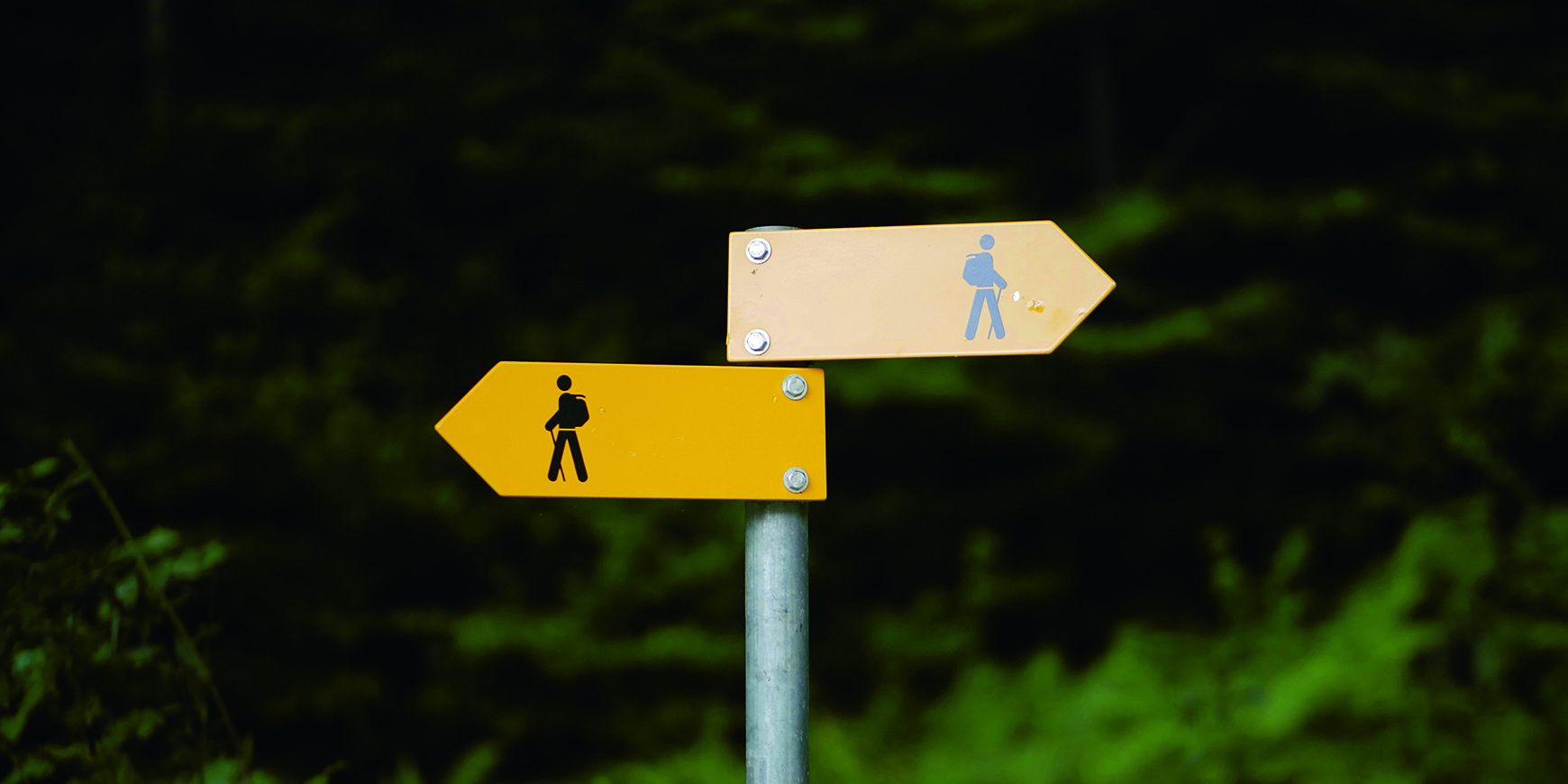 Conscience in crisis? Sungsoo Kim on pacifism and the weight of choice 