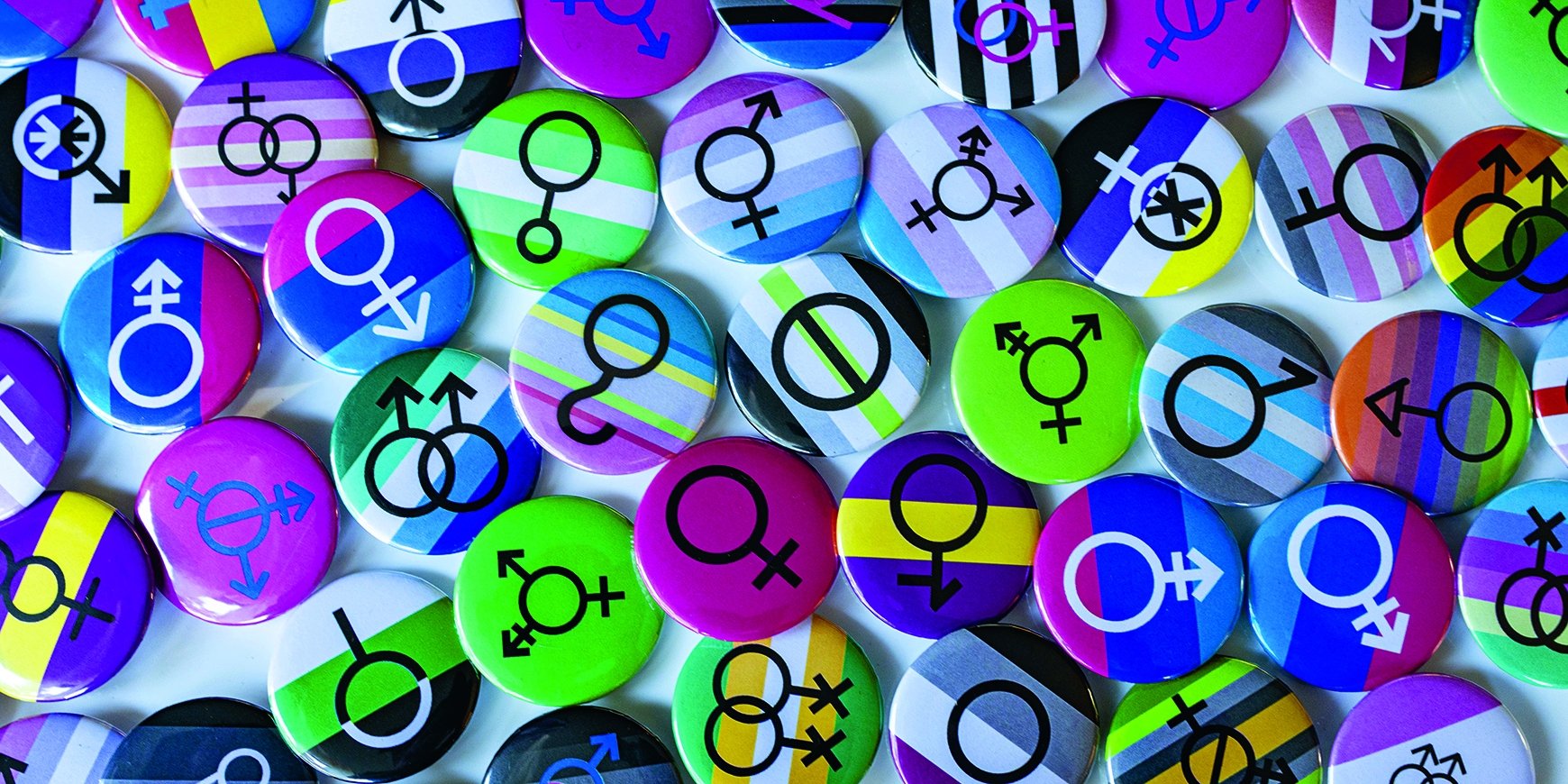 Housedogs in the elsewhere: Damian Entwistle offers an inclusive theology of sex and gender