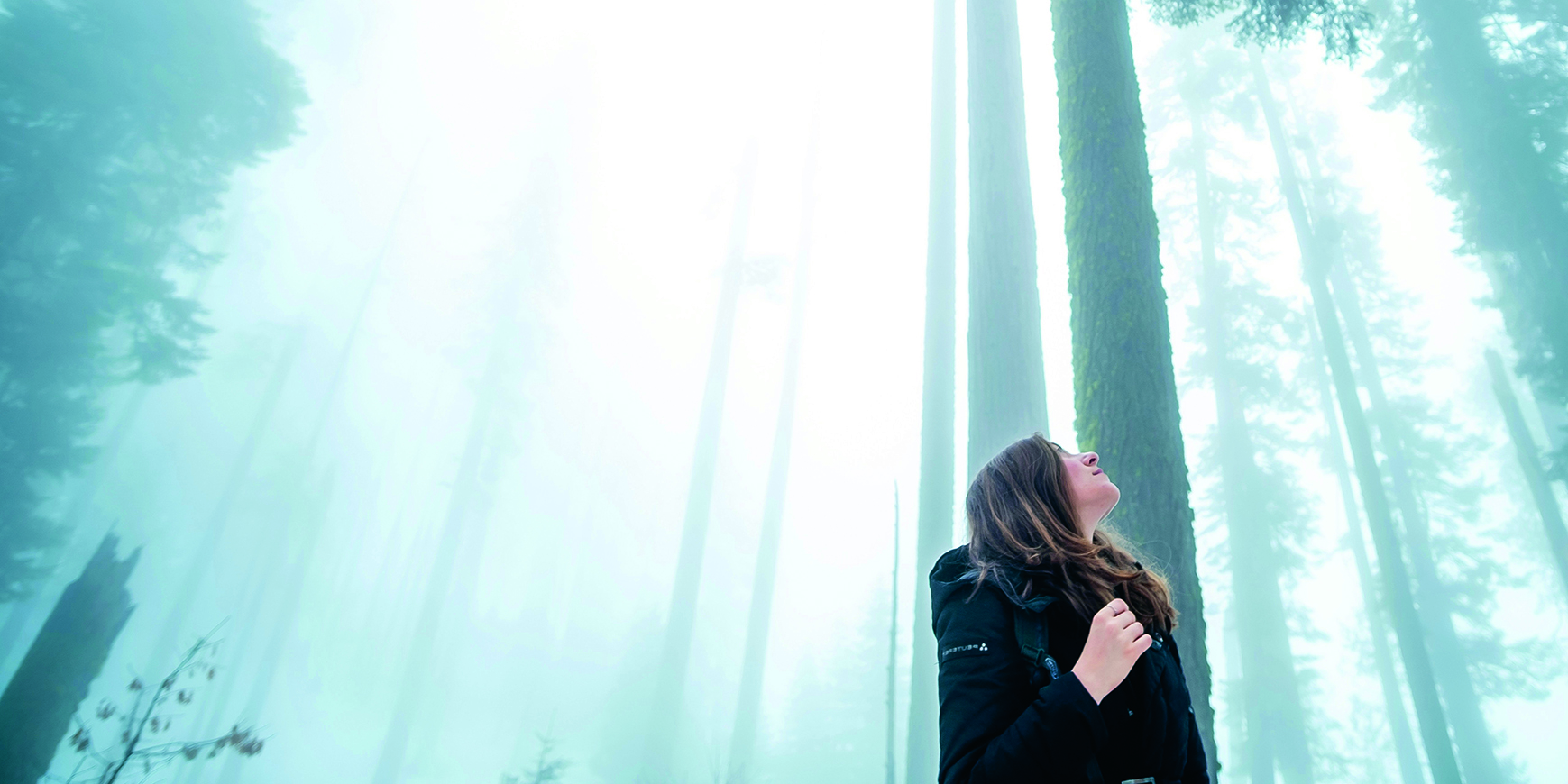 Gateways into awareness: Angela Greenwood picks up where Rufus Jones left off 