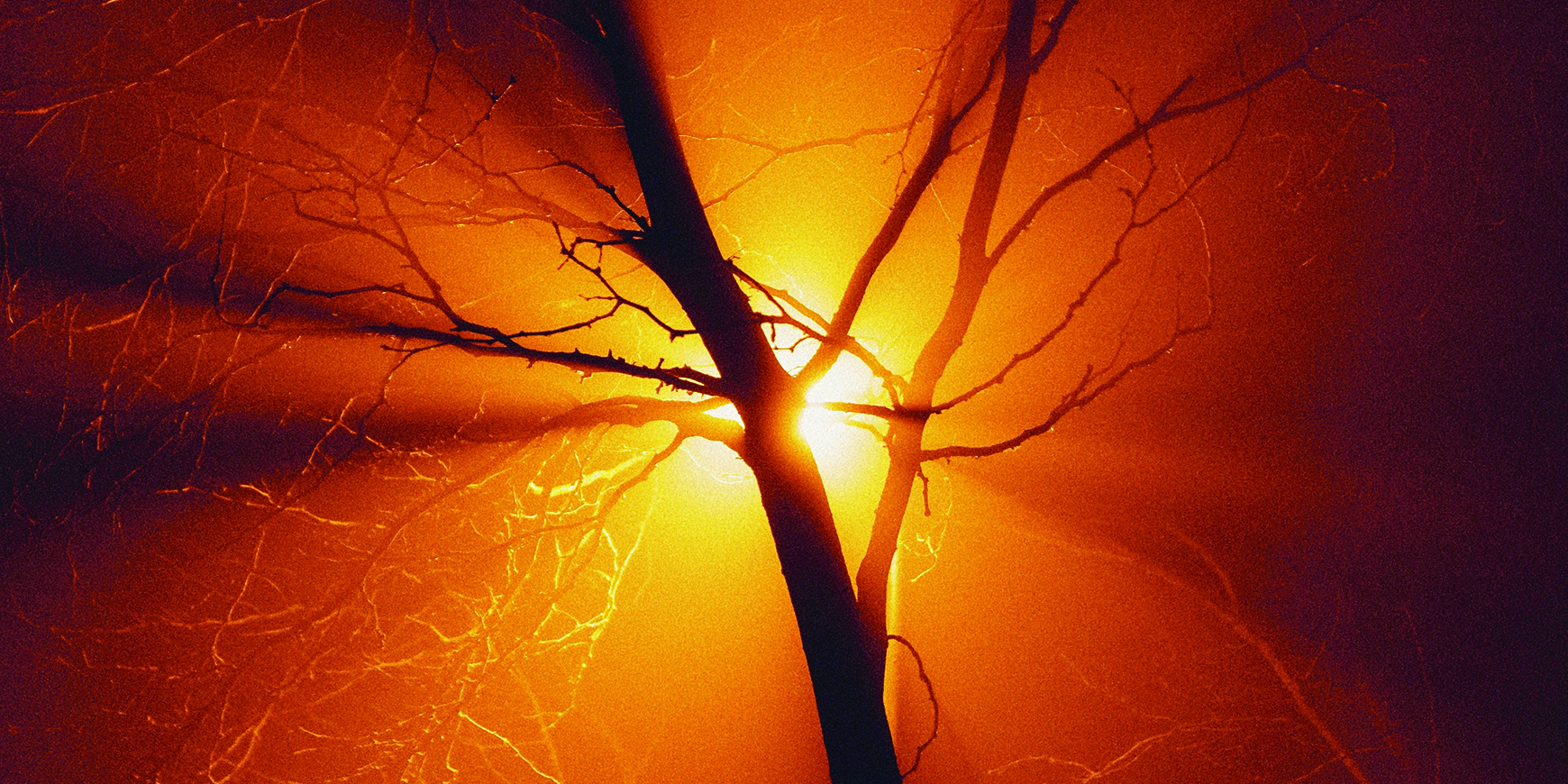 Poem: Do go gentle into that warm light