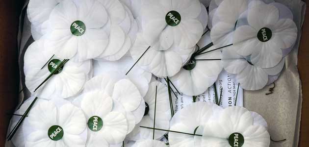 Flower power: Brian Hodkinson on white poppies