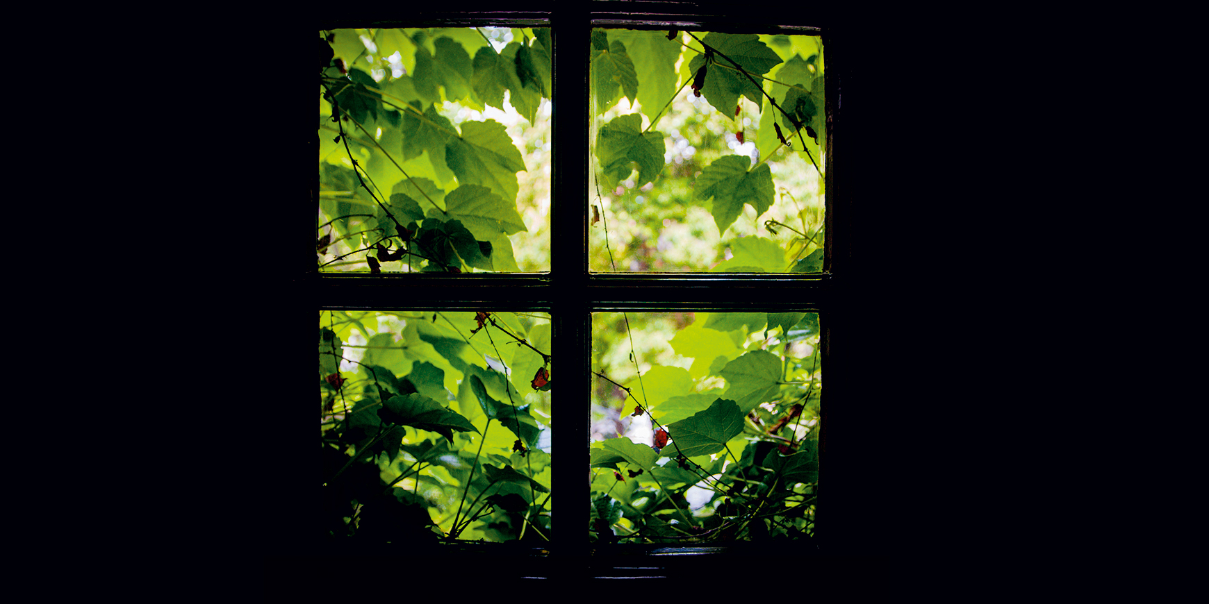 Poem: Love, I see a