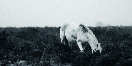 By Annie Spratt via Unsplash.