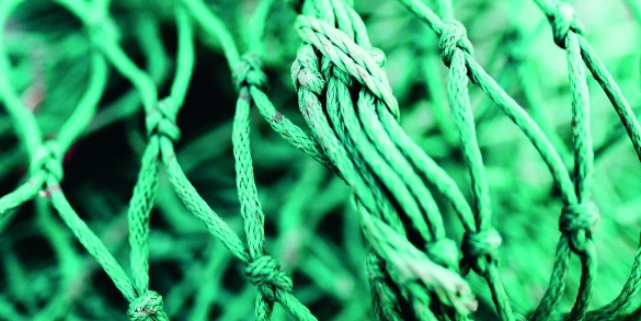 {featured_story:article_caption}