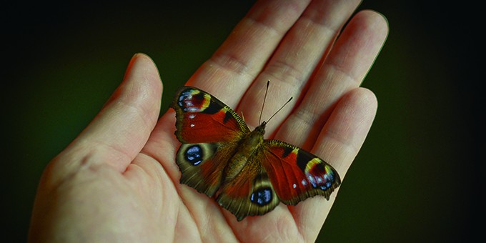 {featured_story:article_caption}