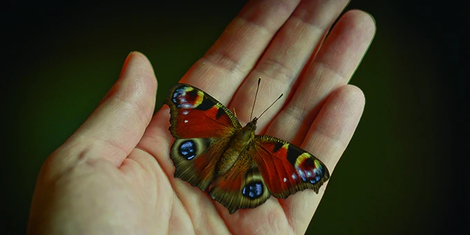 {featured_story:article_caption}